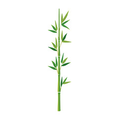 Fototapeta premium Clipart_flat_2D_icon_of_a_bamboo_stalk_isolated_on_a_white, plant set collection