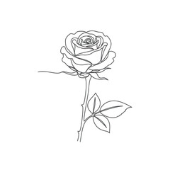 Single rose flower continuous line romantic floral outline vector illusration