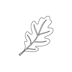 Tulip poplar leaf outline botanical line art illustration vector illusration