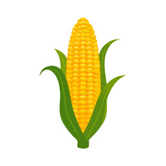minimalist design, clipart	Simple_flat_2D_icon_of_a_corn_cob_isolated_Attractive, Simple illustration with EPS format design