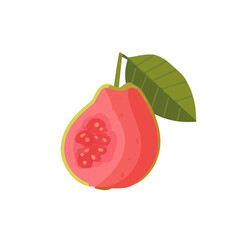 2D_icon_of_a_guava_isolated_on_a_white_A beautiful Clipart collection, an Attractive Minimalist illustration, a simple illustration with EPS format design