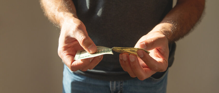 Caucasian man showing torn dollar banknote.