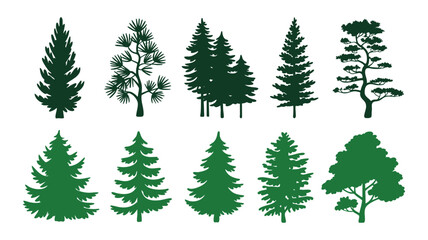 Fototapeta premium Diverse evergreen pine and spruce tree silhouettes graphic set