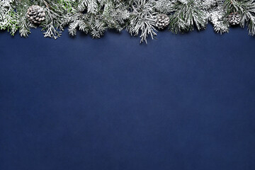 Frozen fir branches with cones
