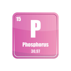 Phosphorus chemical element tile. Atomic number fifteen. P sign Vector icon. Pink magenta square shape.