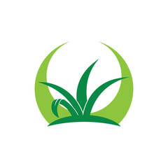 Green grass icon and symbol template
