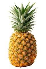 pineapple fruit isolated on a white background