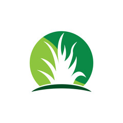 Green grass icon and symbol template