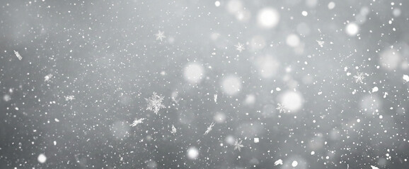 Obraz premium rain drops on the window