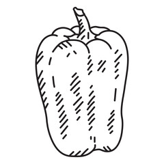 Bell pepper food icon