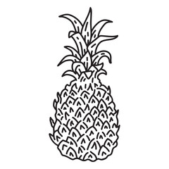 Obraz premium Pineapple detailed icon