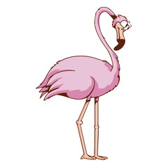 Flamingo tropical bird animal cartoon