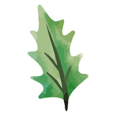 Naklejka premium Watercolor holly leaf