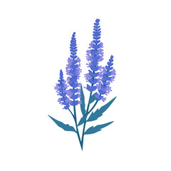 Naklejka premium icon_blue_vervain_plant_isolated_Attractive Minimalist illustration, A clipart flat 2D icon, simple illustration with EPS format design