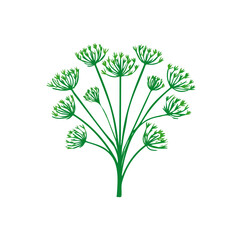 A Clipart set, an Attractive Minimalist illustration, a simple illustration with an EPS format Simple_flat_2D_icon_dill_herb_isolated_on_a_white