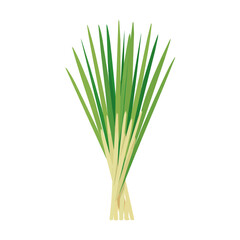 2D_icon_lemongrass_stalk_isolated_on_a_white, Attractive Minimalist illustration, A clipart flat 2D icon, simple illustration with EPS format design