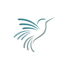 Abstract humming bird logo template