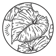 Tropical leaf natural element stroke