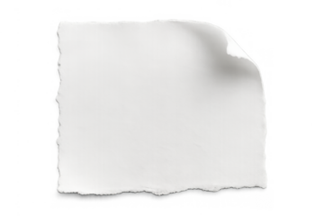 Blank torn paper piece with curled corner, empty white scrap ideal for note, transparent background