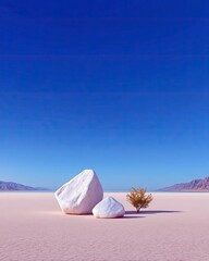 White Rocks and Bush on Desert Landscape under Blue Sky