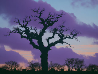 Lonely oak tree silhouette at sunset with purple clouds creating moody sky