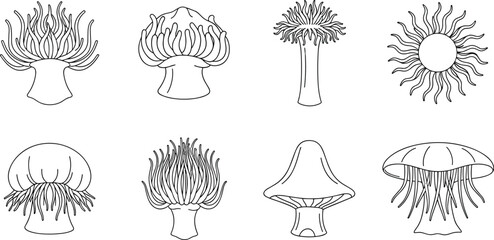Abstract sea anemone and jellyfish illustrations, marine organism line art set, underwater nature elements, ocean themed vector collection