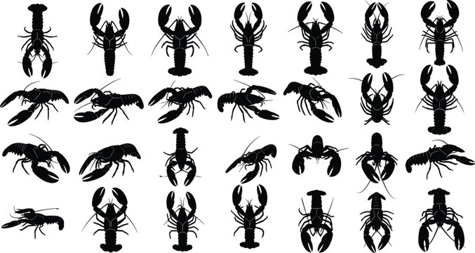 Large collection of thirty black lobster silhouettes in various positions, marine crustacean seafood icon set, crayfish, crab, ocean animal vector graphic, minimal design, food and wildlife.