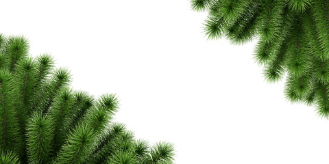 christmas tree branches frame isolated on white