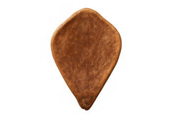 Brown plant seed with teardrop shape presenting organic agriculture concept on transparent background