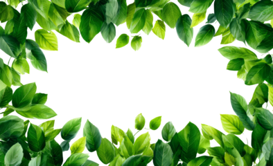 Natural green leaf frame border creating calm, fresh botanical space