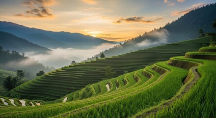 Lush green terraced rice fields cascade down misty mountains at sunrise, creating a serene and breathtaking landscape.