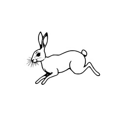 Obraz premium Black line art, silhouette of a running hare, whit