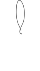 Symmetrical Balloon String or Loop Shape