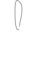 Balloon String Shape with Gentle Curve