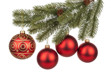 Red christmas ornaments hanging on fir branch, isolated on transparent background