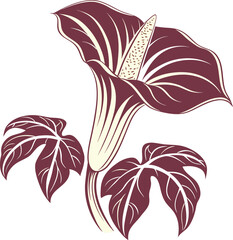 illustration of blooming Corpse Flower	