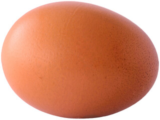 Close-up of Single Brown Chicken Egg, Laying Hen, for Food in Transparent Background