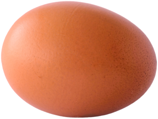 Close-up of Single Brown Chicken Egg, Laying Hen, for Food in Transparent Background