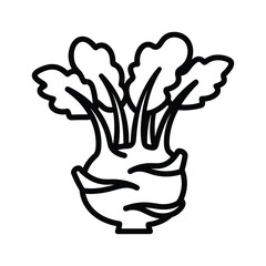 Simple kohlrabi with green leaves and black outline isolated on white background drawing