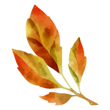 Autumn leaves reminiscing Thanksgiving