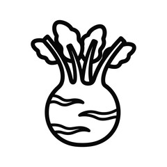 Illustration of kohlrabi vegetable on white background with thick line design exactly one hundred letters