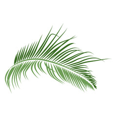 Palm leaf wall decal