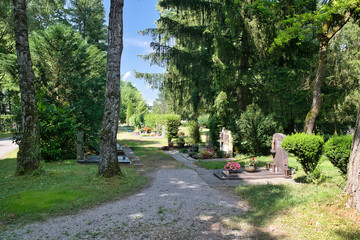 schöne Grabsteine zwischen hohen Bäumen Friedhof in Kaufbeuren