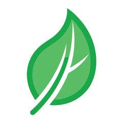 Minimalist outline of a green leaf with a white background for design