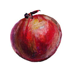 A sketch of a ripe pomegranate, isolated on a white background. Oil pastels.