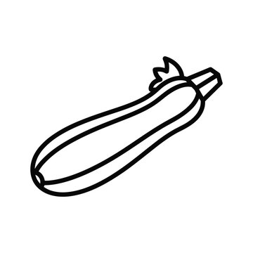 Outline icon of fresh zucchini vegetable great source of vitamins healthy food diet ingredient