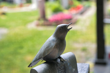 ein singender Vogel auf einem Grab auf dem katholischen Friedhof in Kempten © Blende8