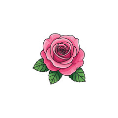 Fototapeta premium Vibrant pink rose flower with green leaf