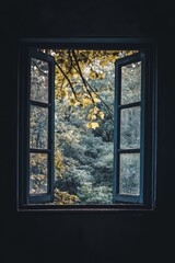A dark room leading out to a vibrant autumn scene. The contrast between the interior and exterior creates a striking image.