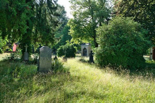 viele Grabsteine auf einer hohen Wiese auf einem Waldfriedhof in Memmingen